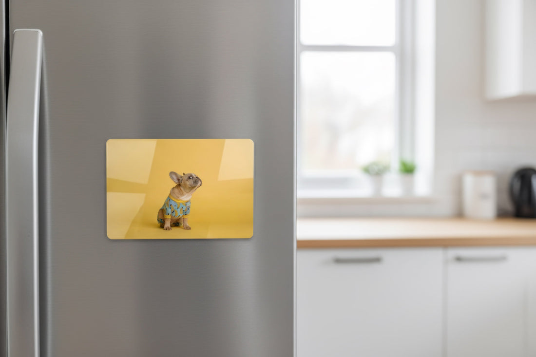 A premium customised French bulldog fridge magnet placed on a modern refrigerator in a bright kitchen