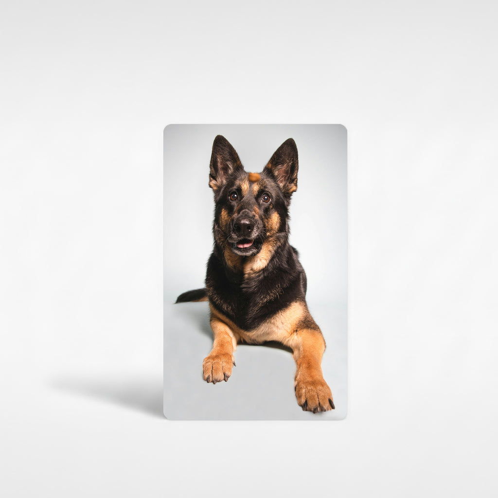 Customised German Shepherd fridge magnet featuring high-resolution photo print of a black and tan GSD on premium aluminium, personalised dog photo gift ideal for German Shepherd owners in the UK.