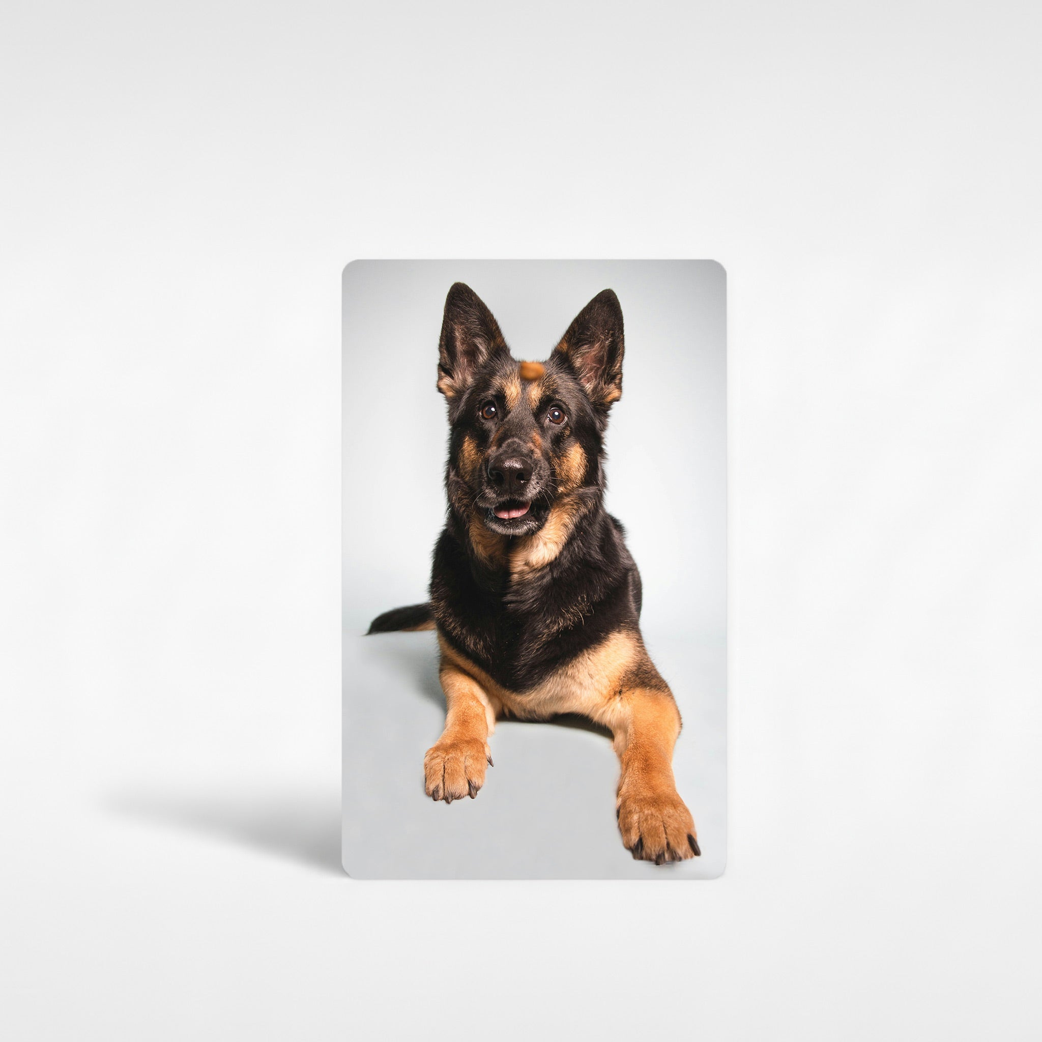 Customised German Shepherd fridge magnet featuring high-resolution photo print of a black and tan GSD on premium aluminium, personalised dog photo gift ideal for German Shepherd owners in the UK.