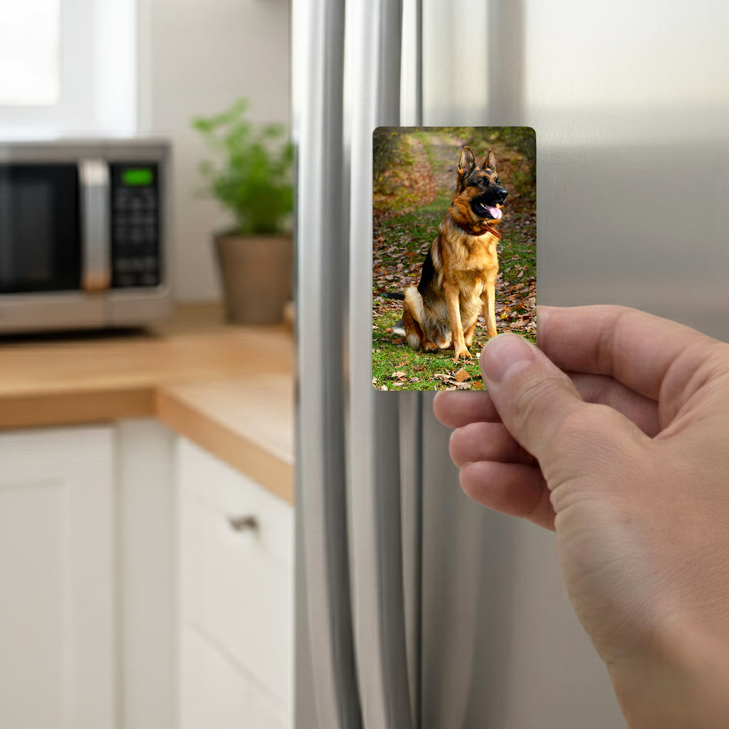 Hand holding personalised German Shepherd fridge magnet on stainless steel fridge door in modern kitchen — custom GSD photo magnet gift for German Shepherd owners UK, handmade in Kent.
