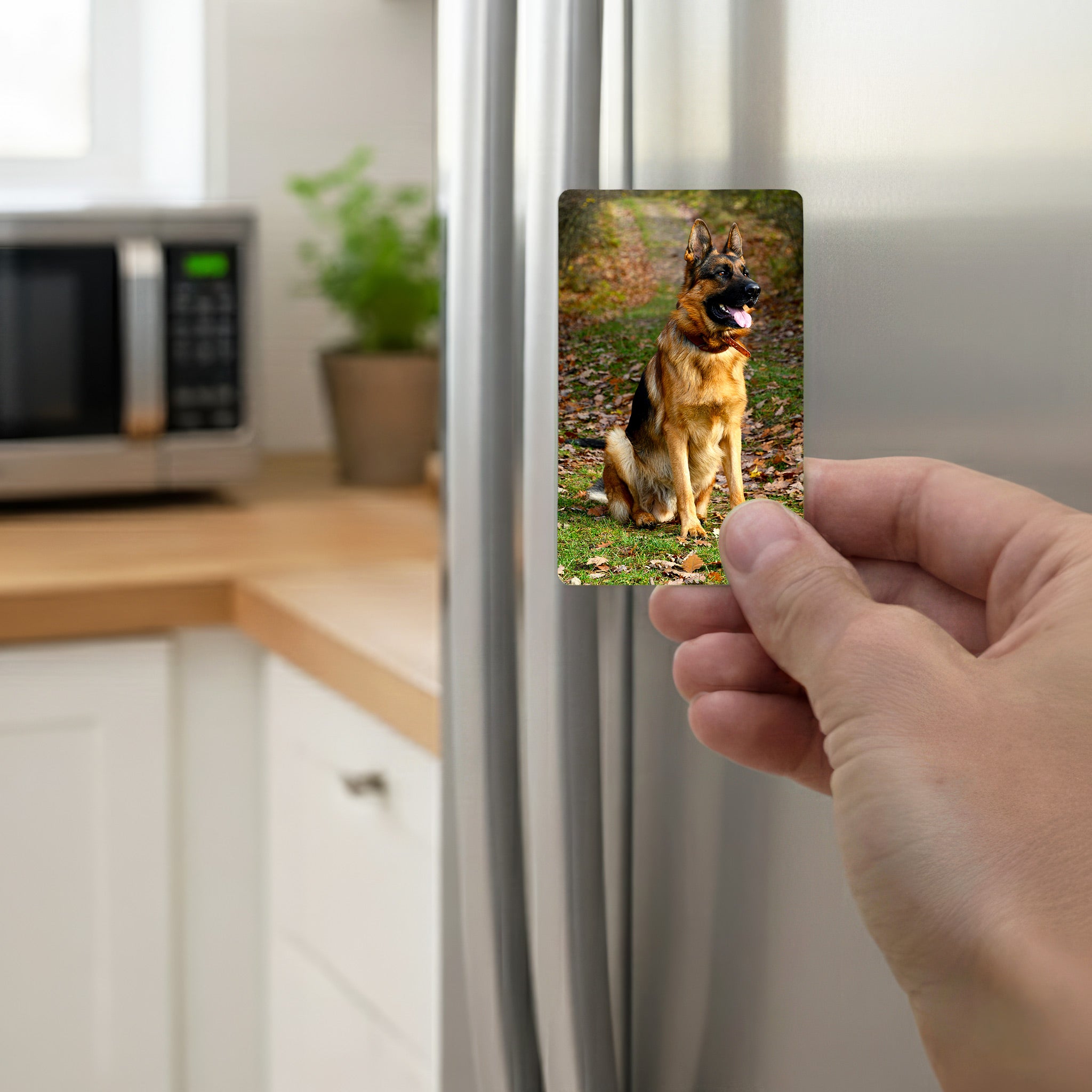 Hand holding personalised German Shepherd fridge magnet on stainless steel fridge door in modern kitchen — custom GSD photo magnet gift for German Shepherd owners UK, handmade in Kent.