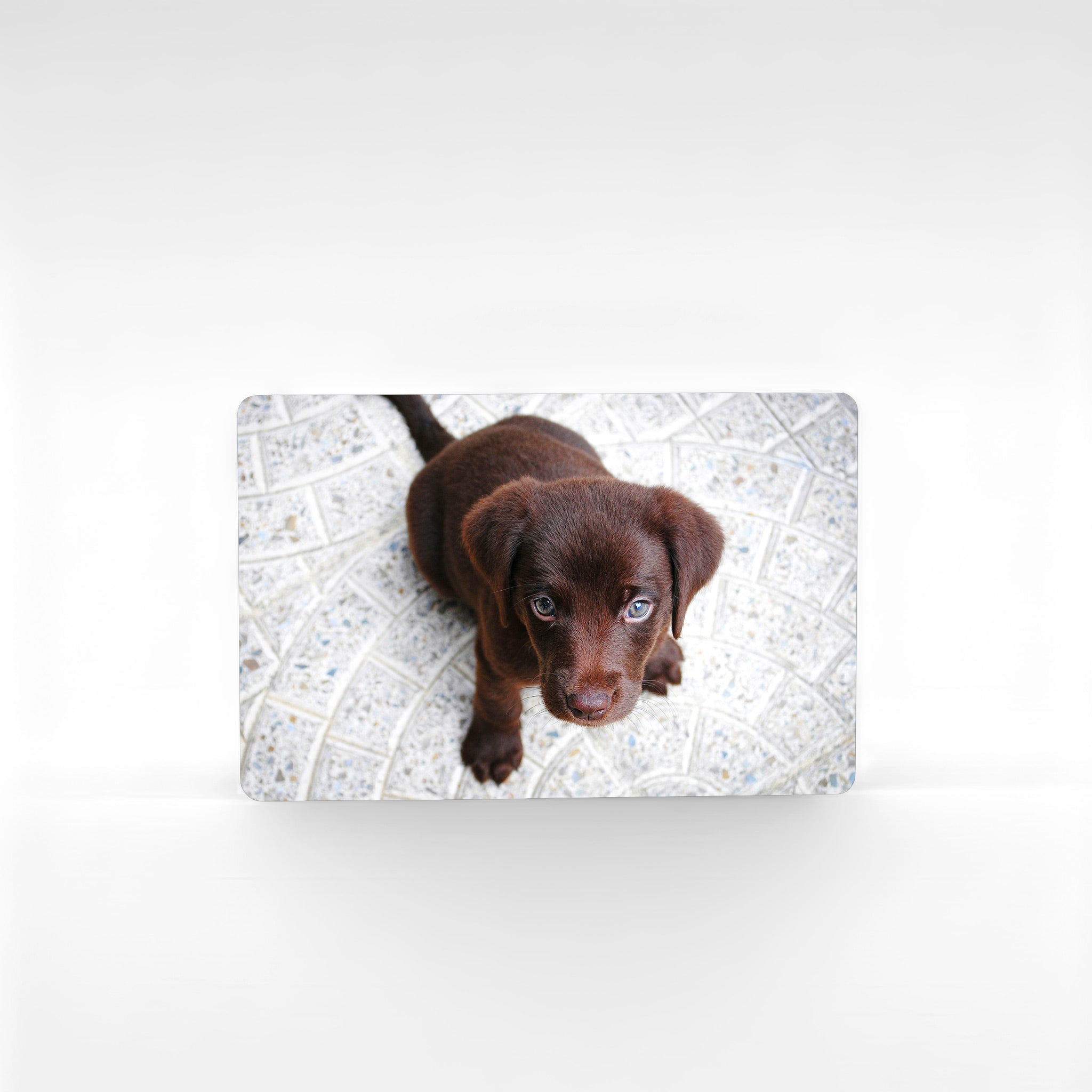Custom photo Labrador fridge magnet featuring adorable chocolate Labrador puppy, personalised Labrador gift handmade in the UK.