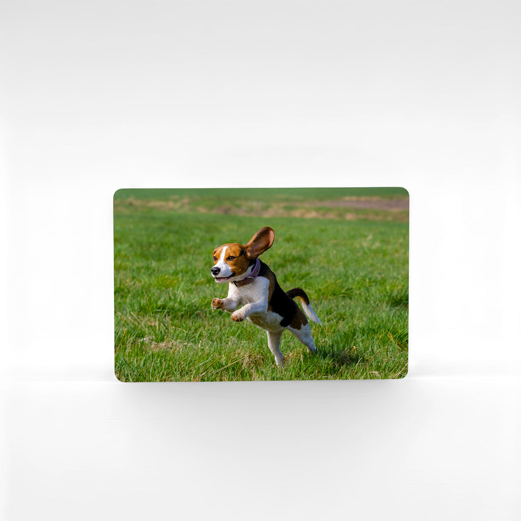 Large custom beagle fridge magnet featuring a beagle leaping in meadow – premium aluminium beagle gifts uk