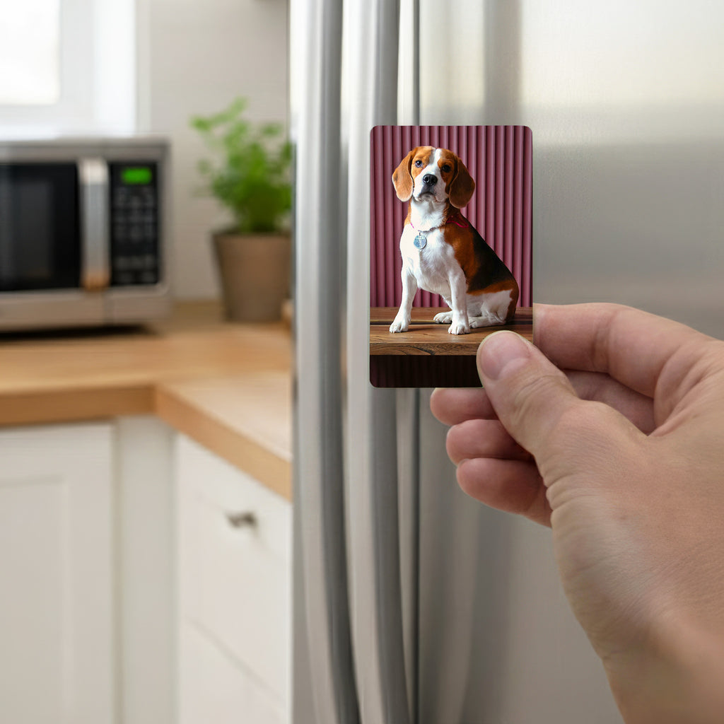 Hand holding a personalised beagle fridge magnet on kitchen fridge door – beagle owner gifts, custom photo magnet uk