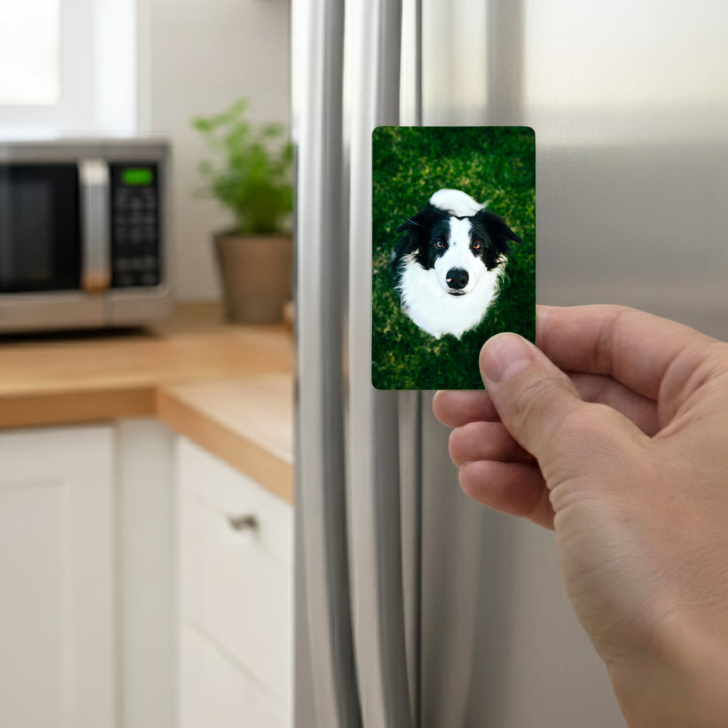 Hand holding personalised Border Collie fridge magnet on kitchen refrigerator – Border Collie gifts UK for dog lovers