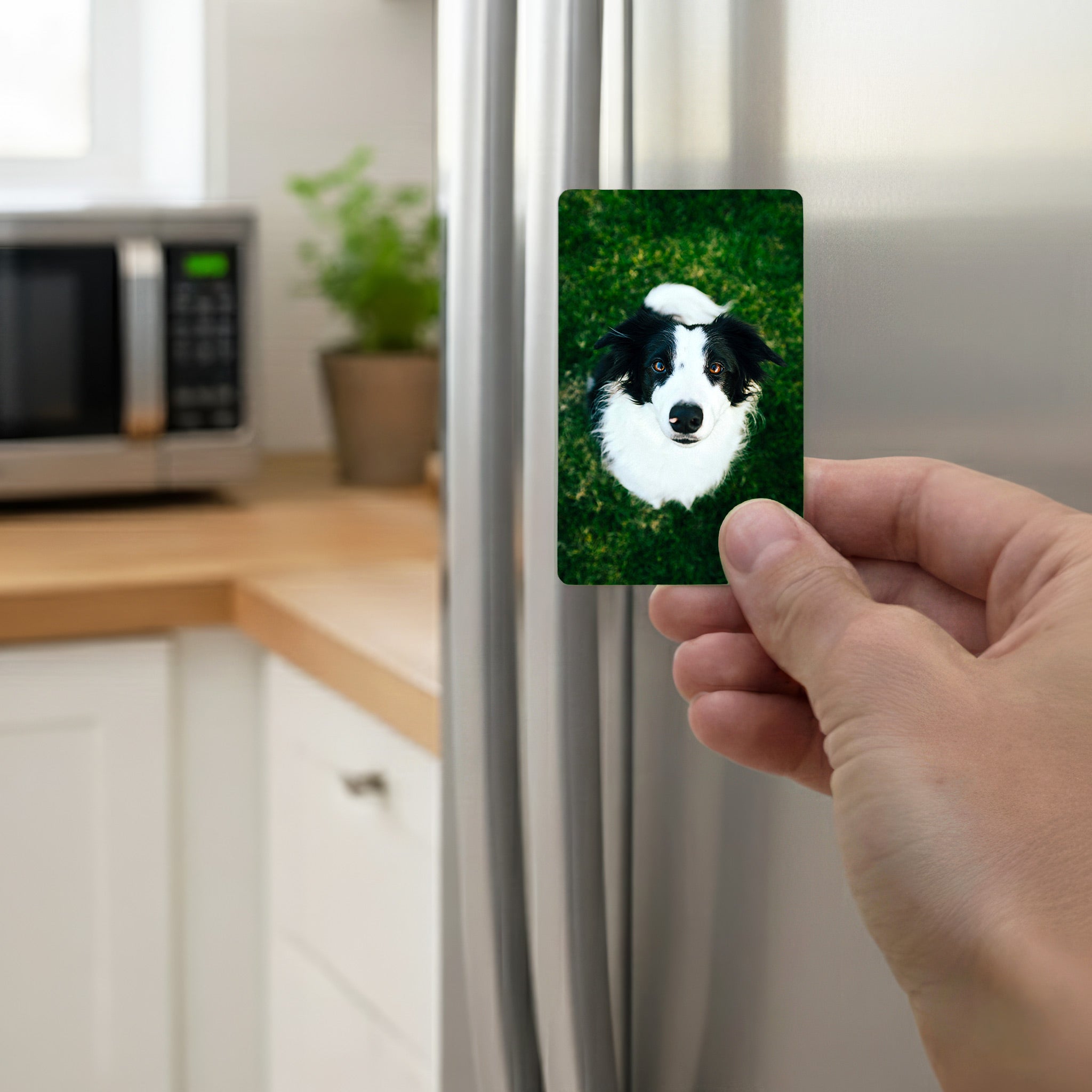 Hand holding personalised Border Collie fridge magnet on kitchen refrigerator – Border Collie gifts UK for dog lovers