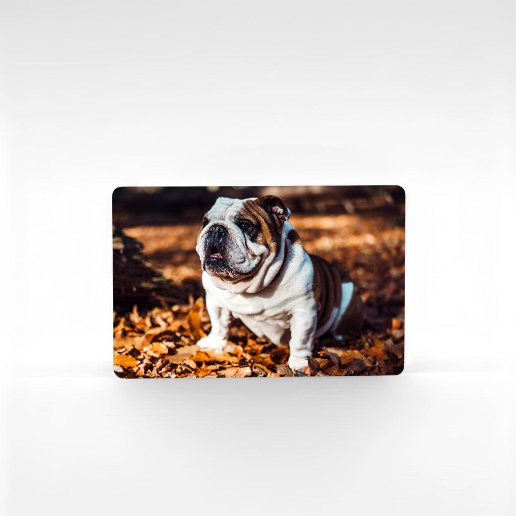 Personalised Bulldog fridge magnet with photo of English Bulldog sitting on autumn leaves, high-quality metal print