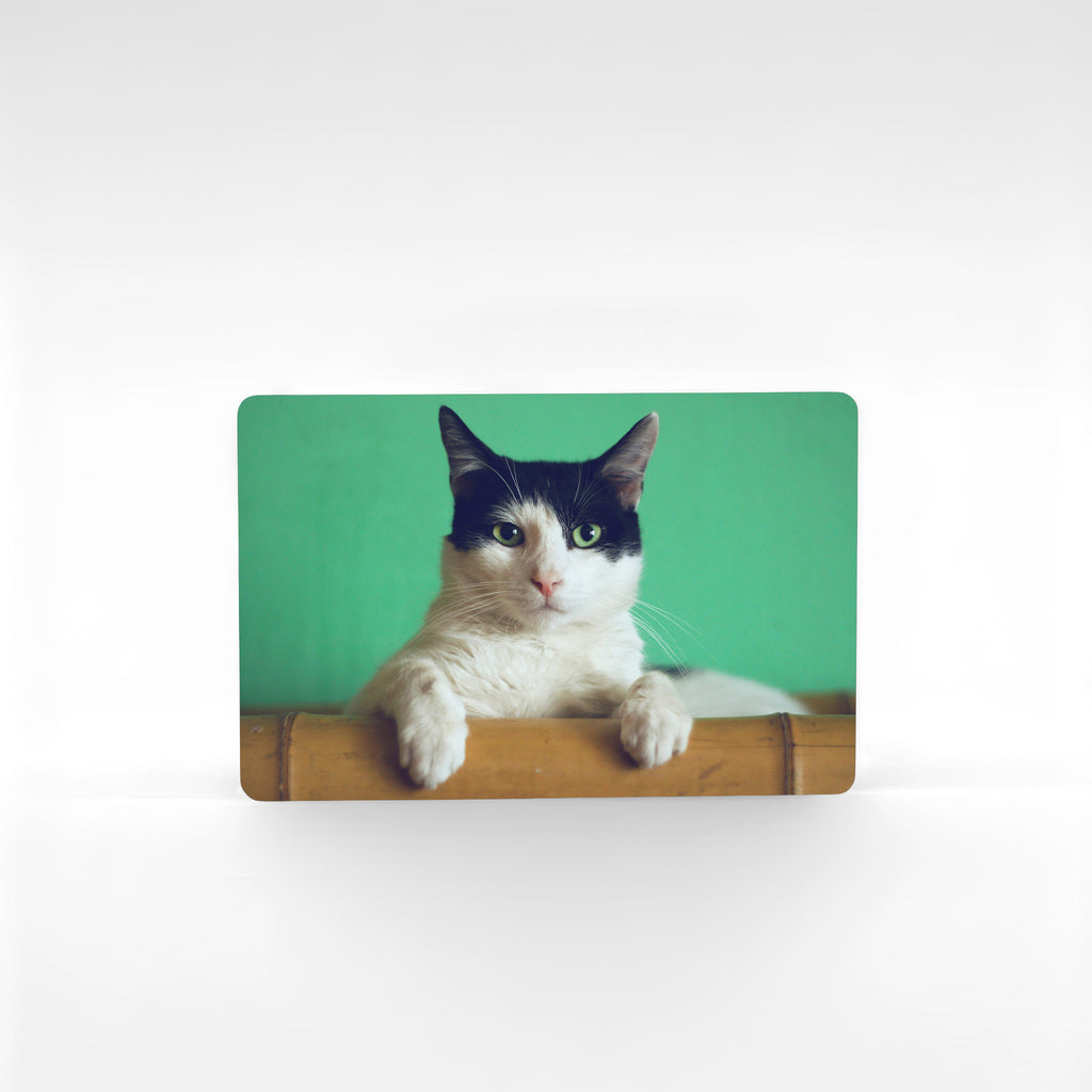 Personalised landscape cat fridge magnet with black and white cat portrait on vibrant green background, printed on fade-resistant metal