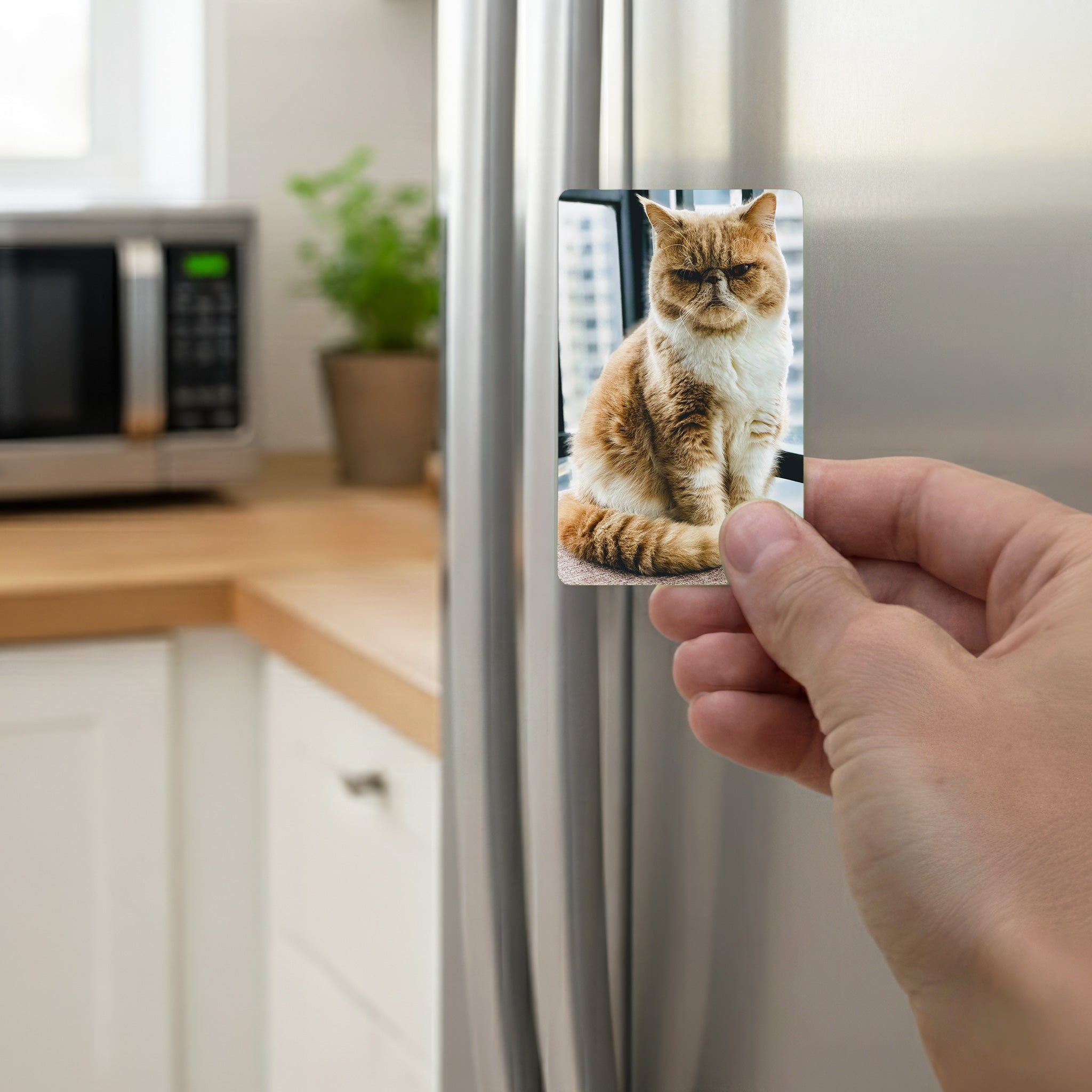 Hand placing personalised cat photo magnet on modern silver fridge in kitchen – custom refrigerator magnet gift for cat owners in the UK