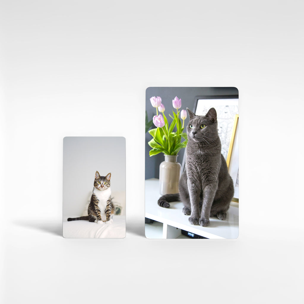 Two personalised cat photo fridge magnets in small and large sizes, printed on aluminium with white shiny finish, perfect custom pet photo gifts