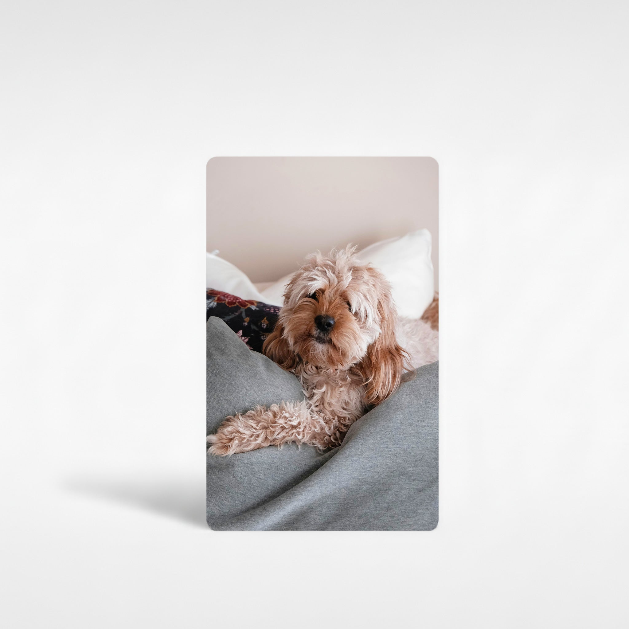 Personalised Cockapoo fridge magnet featuring a custom dog photo printed on premium aluminium — ideal cockapoo gift for dog lovers in the UK.