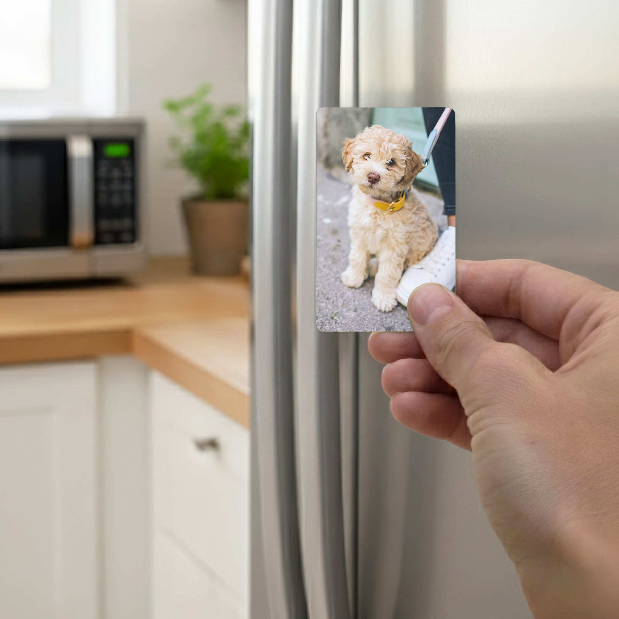 Hand holding a personalised Cockapoo photo fridge magnet against a modern stainless steel fridge — thoughtful custom cockapoo gift idea made in the UK.