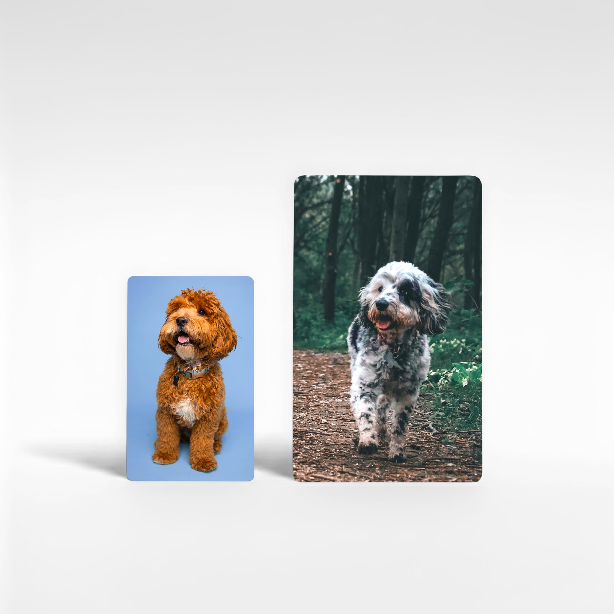 Two personalised Cockapoo photo fridge magnets shown in small and large sizes — perfect cockapoo owner gifts or dog lover keepsakes.
