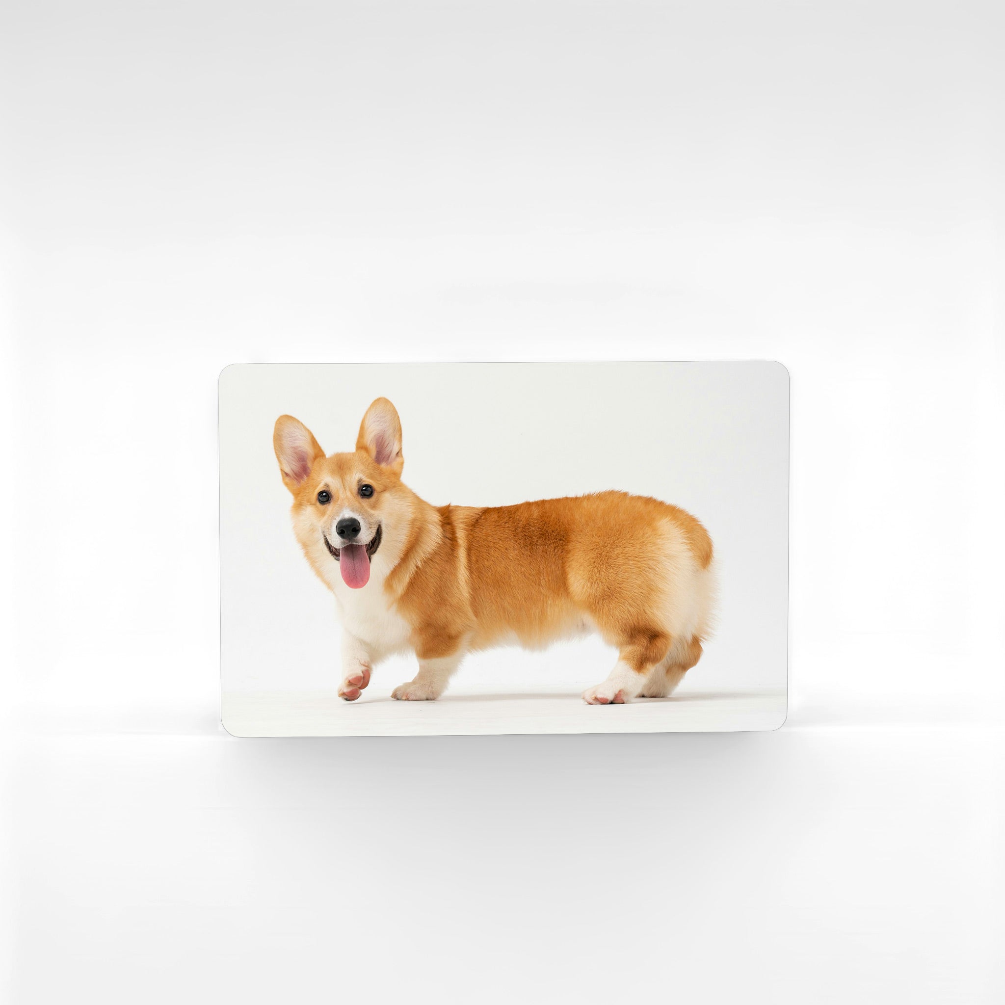Custom corgi photo fridge magnet in landscape format, printed on high-quality aluminium with a corgi smiling on white background, ideal corgi gifts UK.