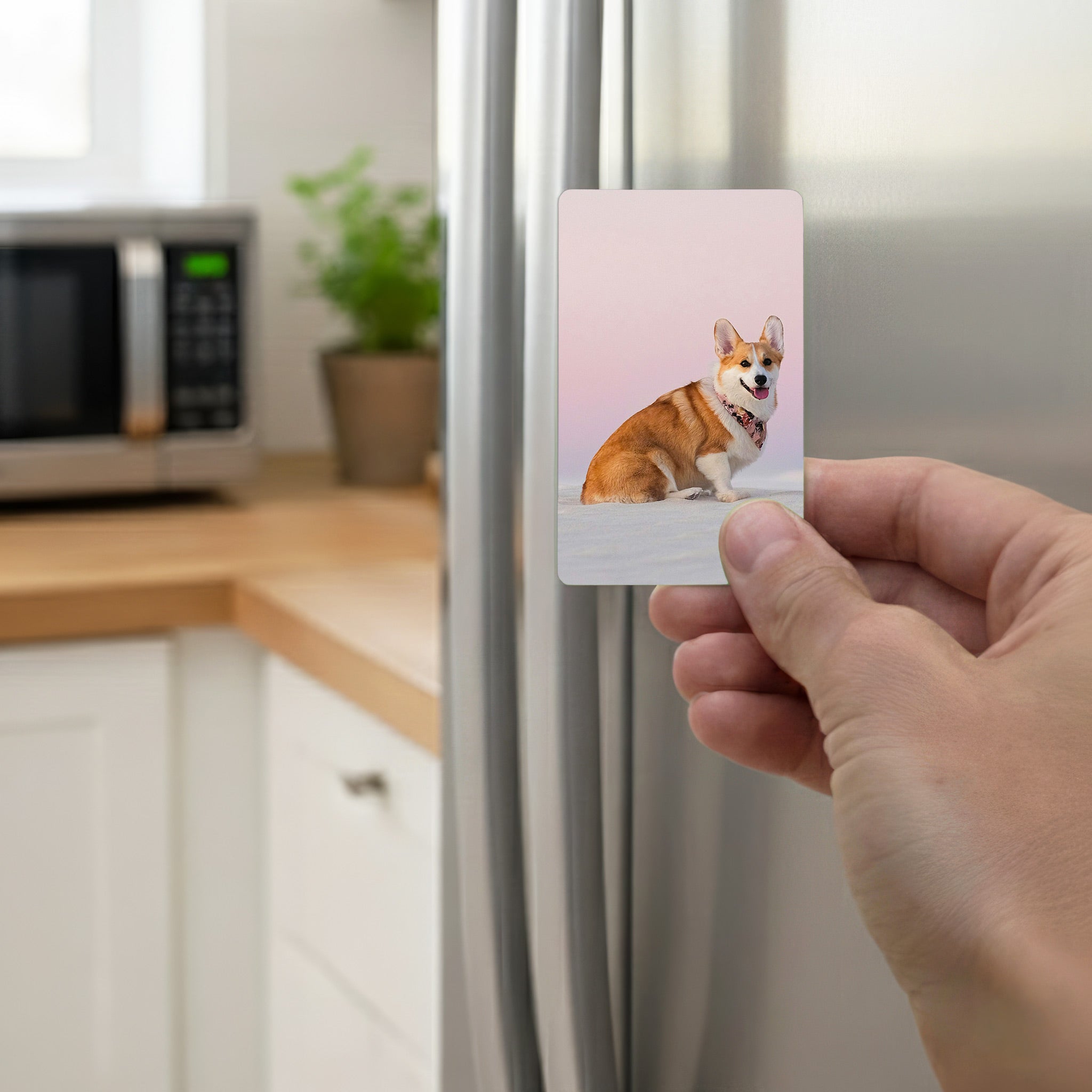 Hand holding personalised corgi fridge magnet against stainless steel fridge in kitchen, showcasing custom photo gift for corgi lovers.