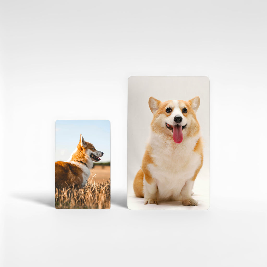 Two personalised corgi fridge magnets in small and large sizes displaying different corgi photos, showing size options for custom corgi photo gifts UK.
