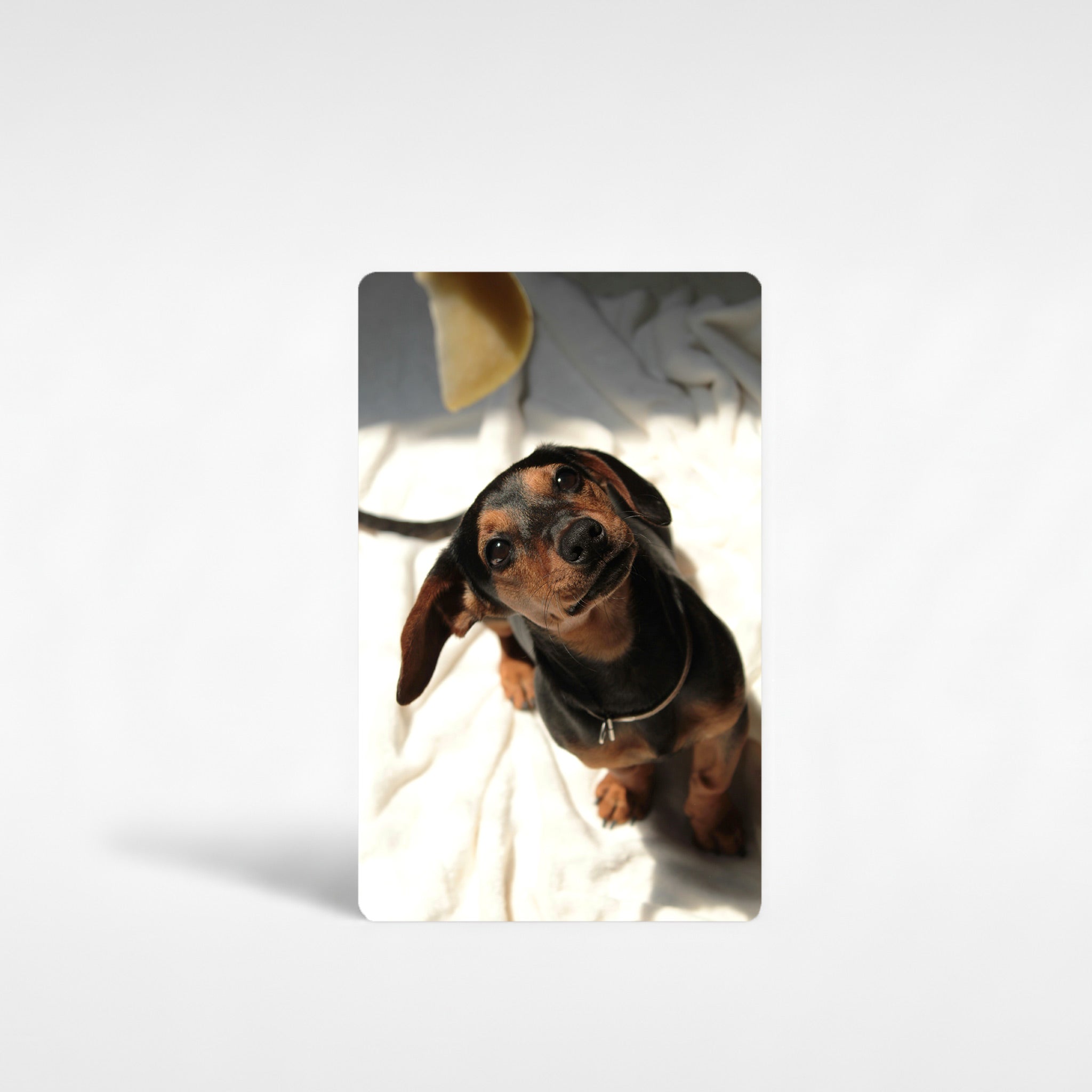 Personalised dachshund fridge magnet featuring black and tan sausage dog photo – custom wiener dog gift printed on aluminium, perfect dachshund owner present made in England.