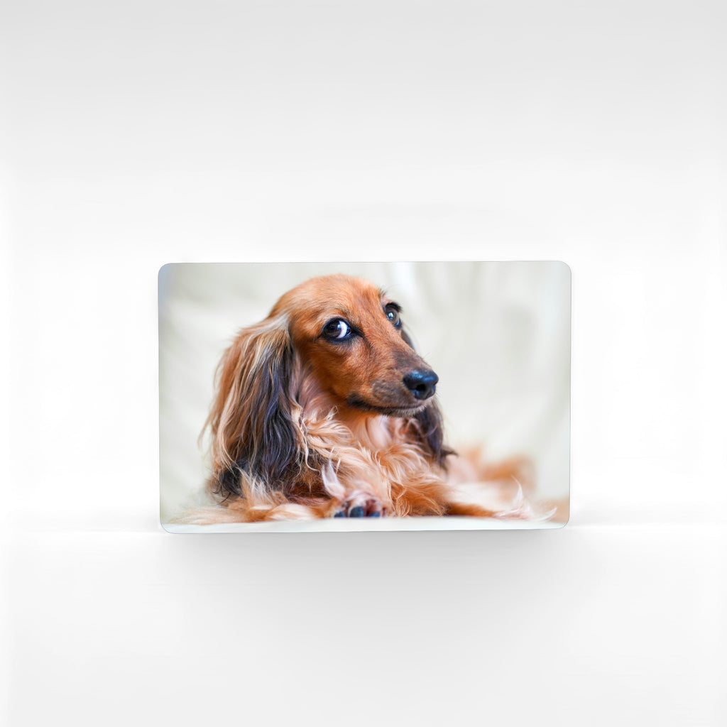 Long-haired dachshund personalised fridge magnet printed in landscape orientation – premium aluminium photo magnet ideal for dachshund lovers, miniature sausage dog keepsake gift.