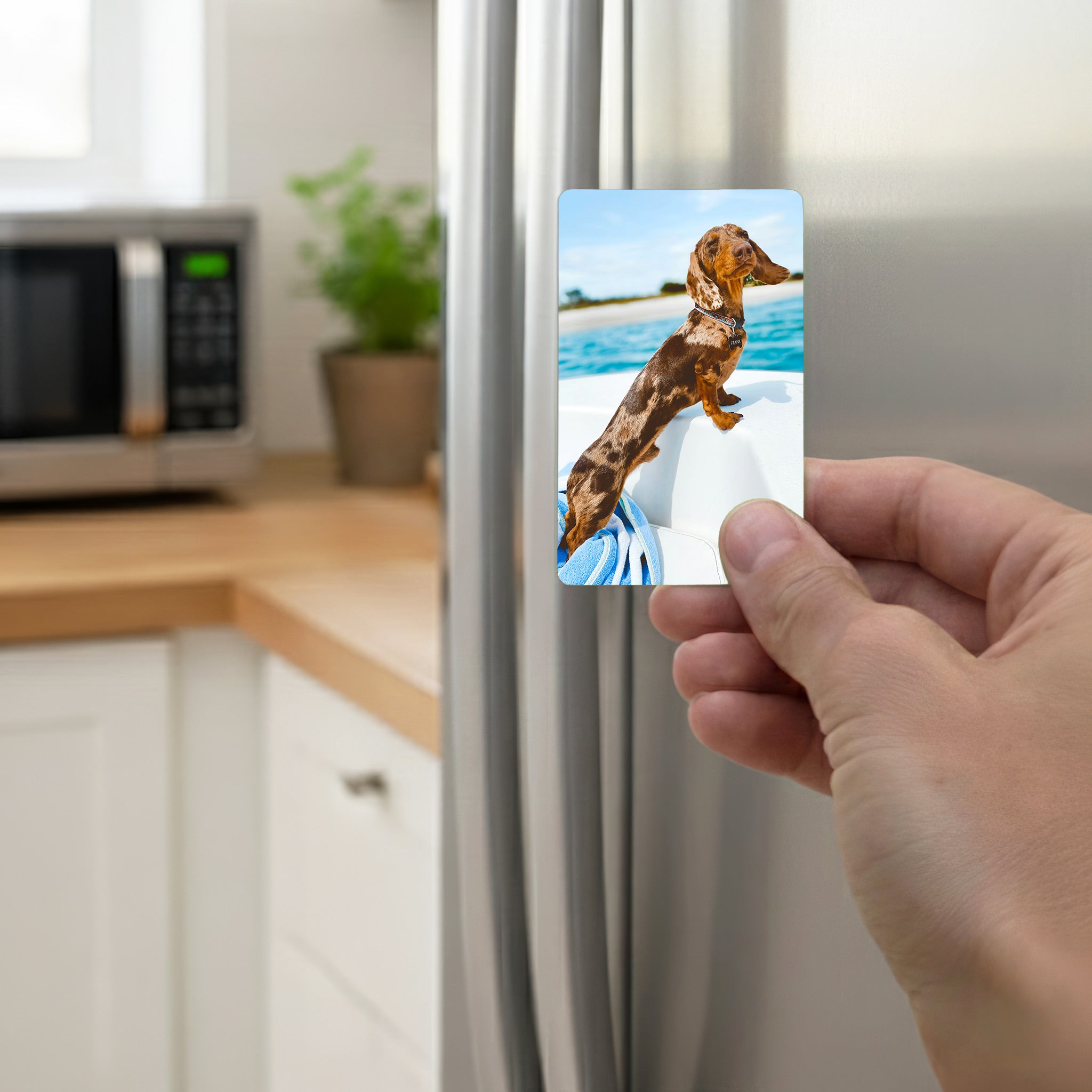 Hand holding a personalised sausage dog photo magnet on a stainless-steel fridge – fun dachshund gift idea for dog owners, custom photo fridge décor handmade in the UK.