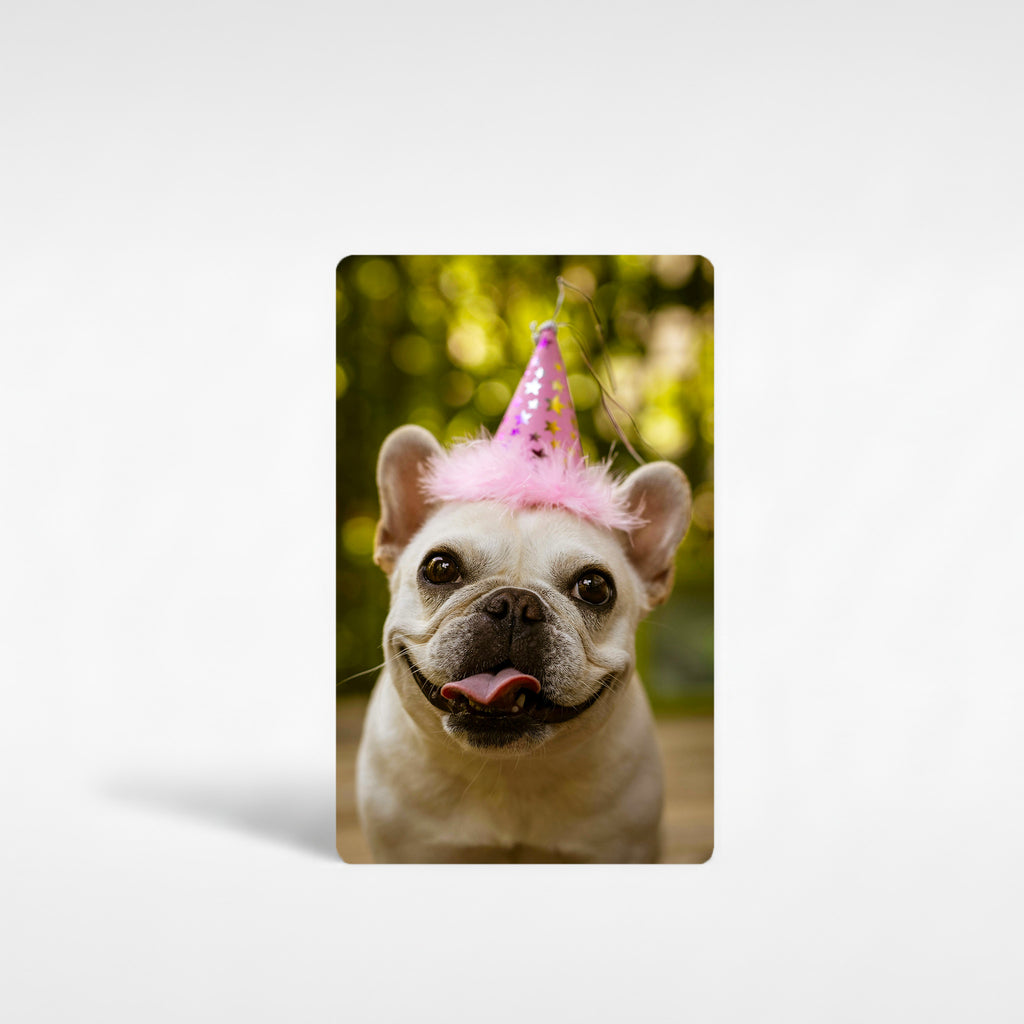 Personalised French bulldog photo fridge magnet featuring cute Frenchie wearing pink birthday hat, vibrant garden background.
