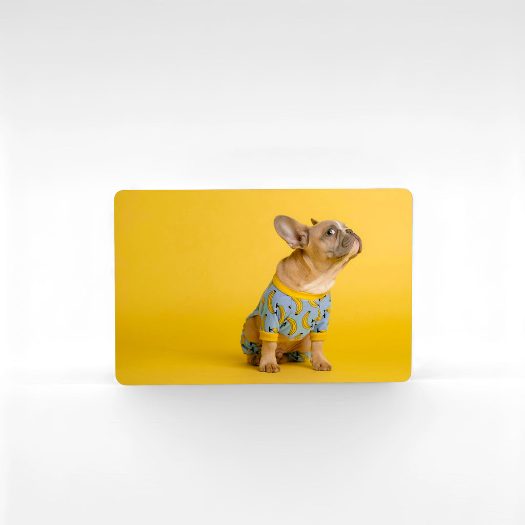 Custom French bulldog fridge magnet printed with adorable Frenchie puppy in blue banana outfit against yellow background.