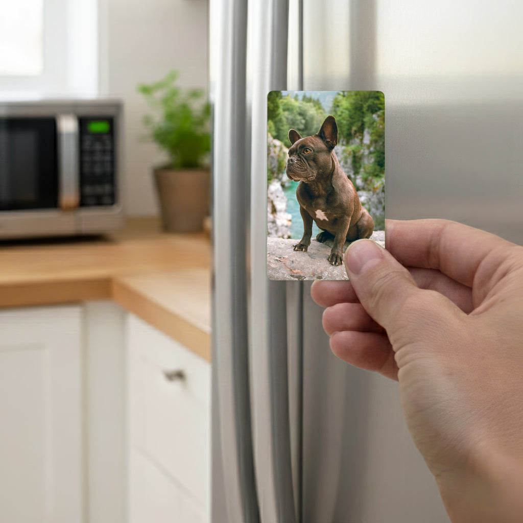 Hand placing personalised French bulldog photo magnet on stainless steel fridge door in modern kitchen.