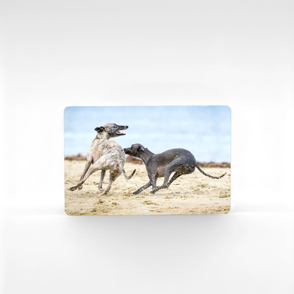 Personalised greyhound fridge magnet with two greyhounds playing on sandy beach, custom photo printed in vivid colour