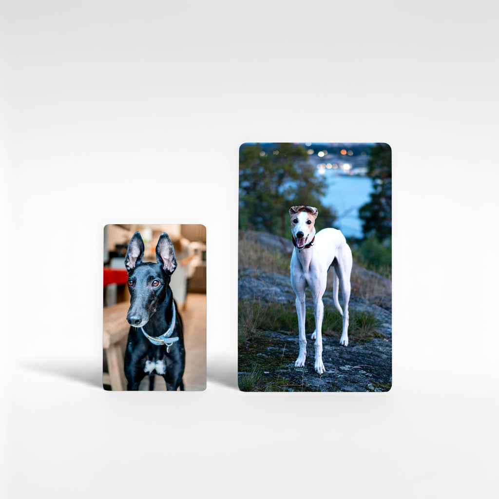 Set of two personalised greyhound fridge magnets in small and large sizes, custom greyhound photo gifts UK