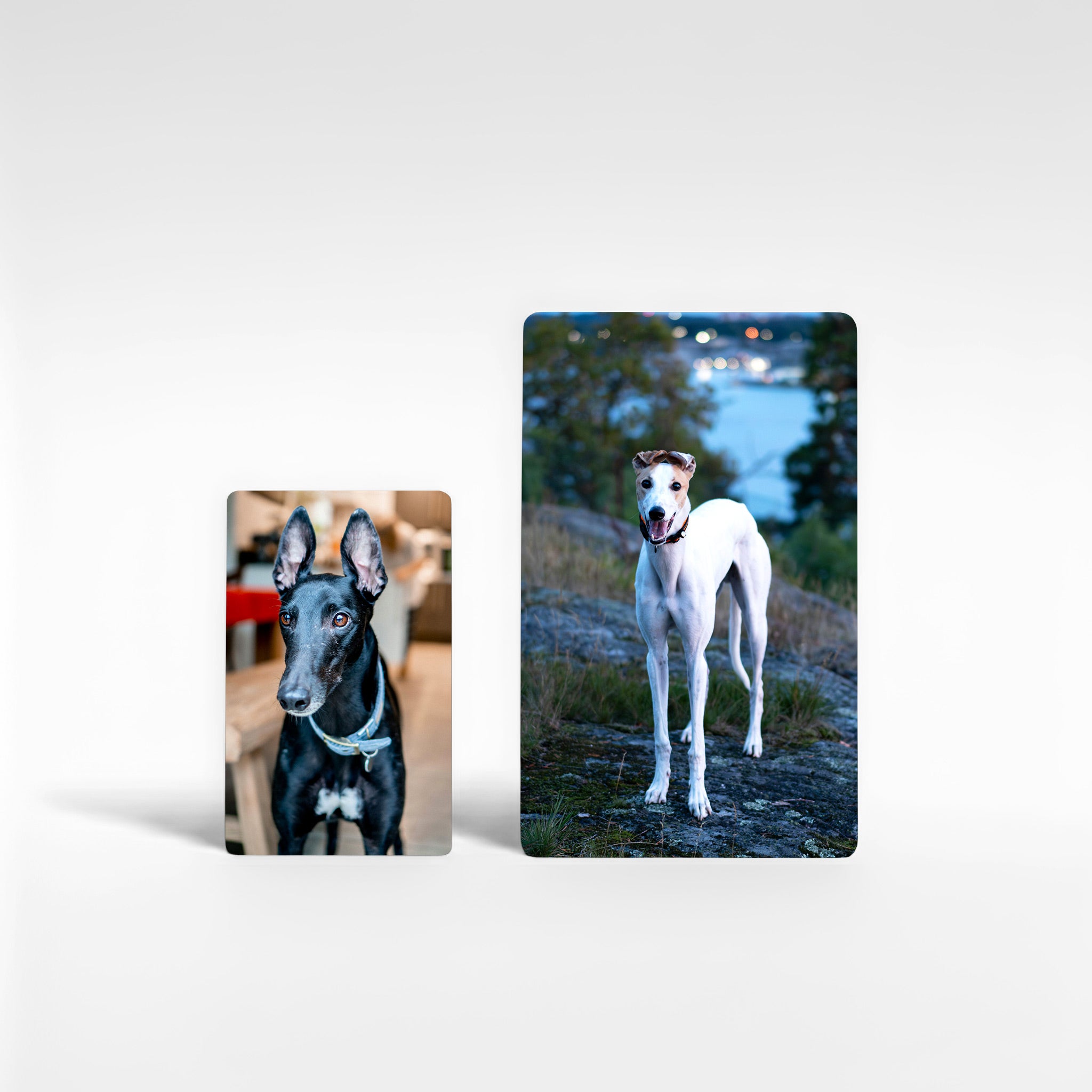 Set of two personalised greyhound fridge magnets in small and large sizes, custom greyhound photo gifts UK