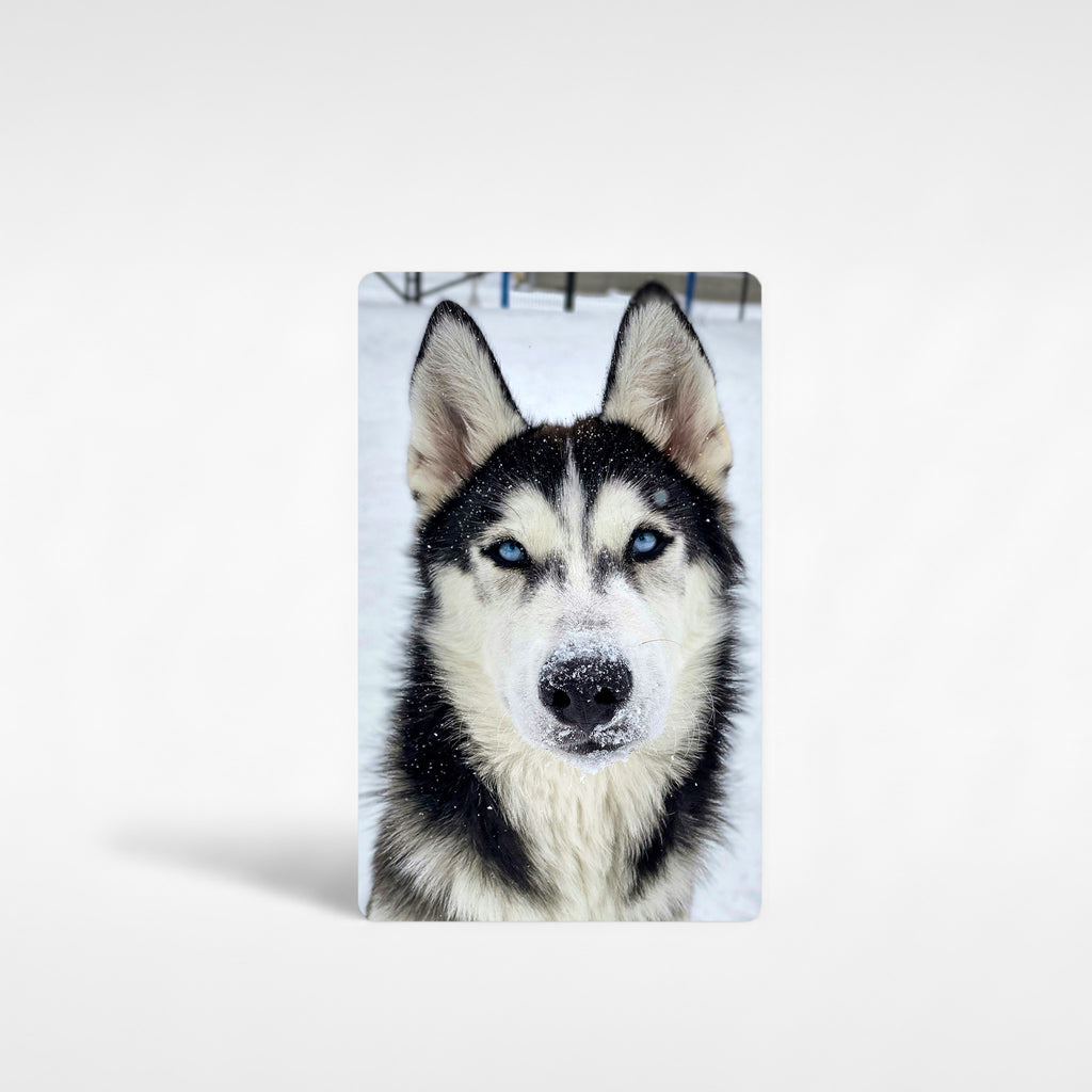 Personalised husky fridge magnet printed on aluminium with close-up husky face photo – custom dog photo gift UK