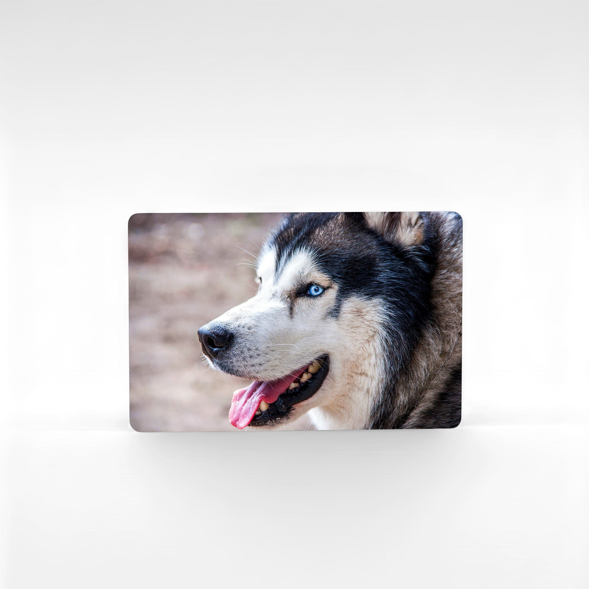 Custom husky photo fridge magnet in landscape format featuring Siberian husky with blue eyes – husky gifts UK