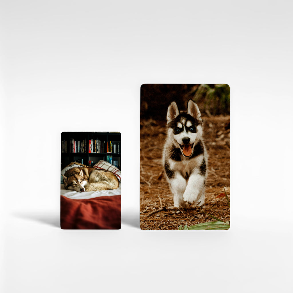Two personalised husky fridge magnets in small and large sizes featuring playful and sleeping husky photos – gifts UK