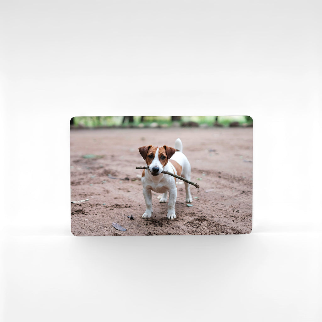 Custom Jack Russell fridge magnet showing terrier playing with stick, perfect Jack Russell owner gift
