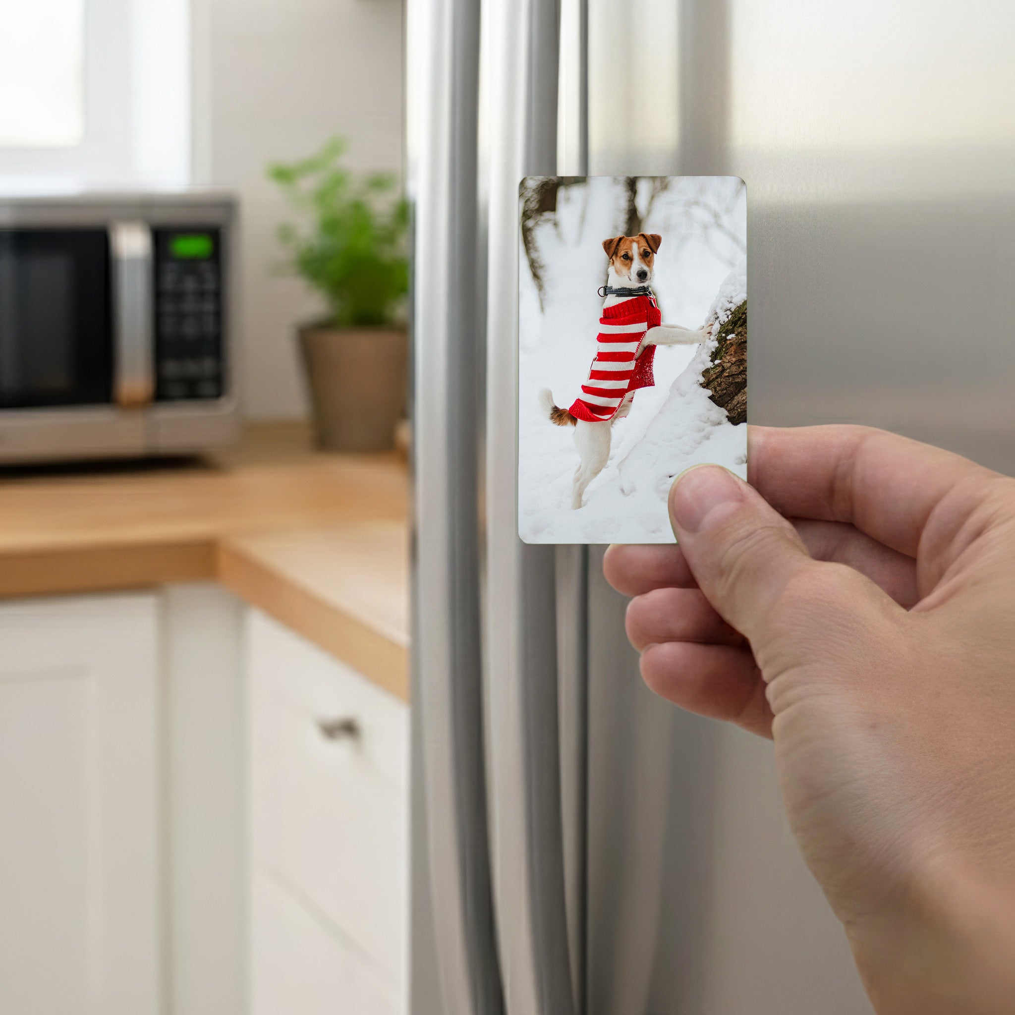 Person holding Jack Russell fridge magnet on stainless fridge, unique Jack Russell merchandise UK
