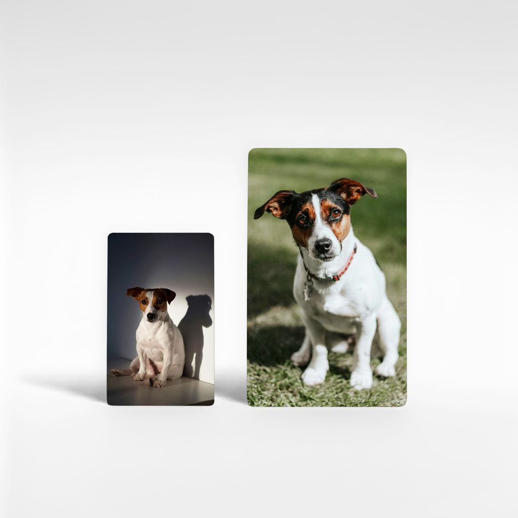 Two personalised Jack Russell fridge magnets in different sizes, perfect Jack Russell terrier gifts UK