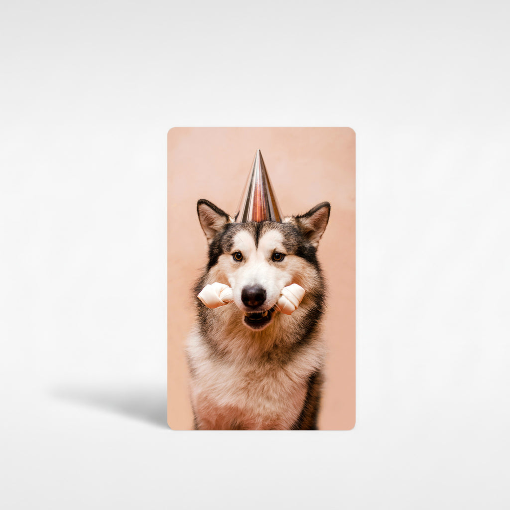 Personalised Alaskan Malamute photo fridge magnet featuring a Malamute wearing a birthday party hat — custom dog photo gift for Malamute owners handmade in England.