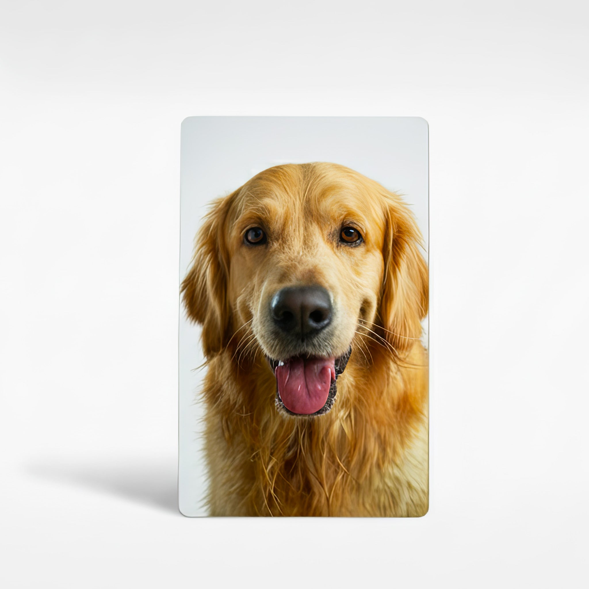 Personalised photo fridge magnet featuring a custom pet portrait printed on premium aluminium — durable handmade photo magnet gift made in the UK.