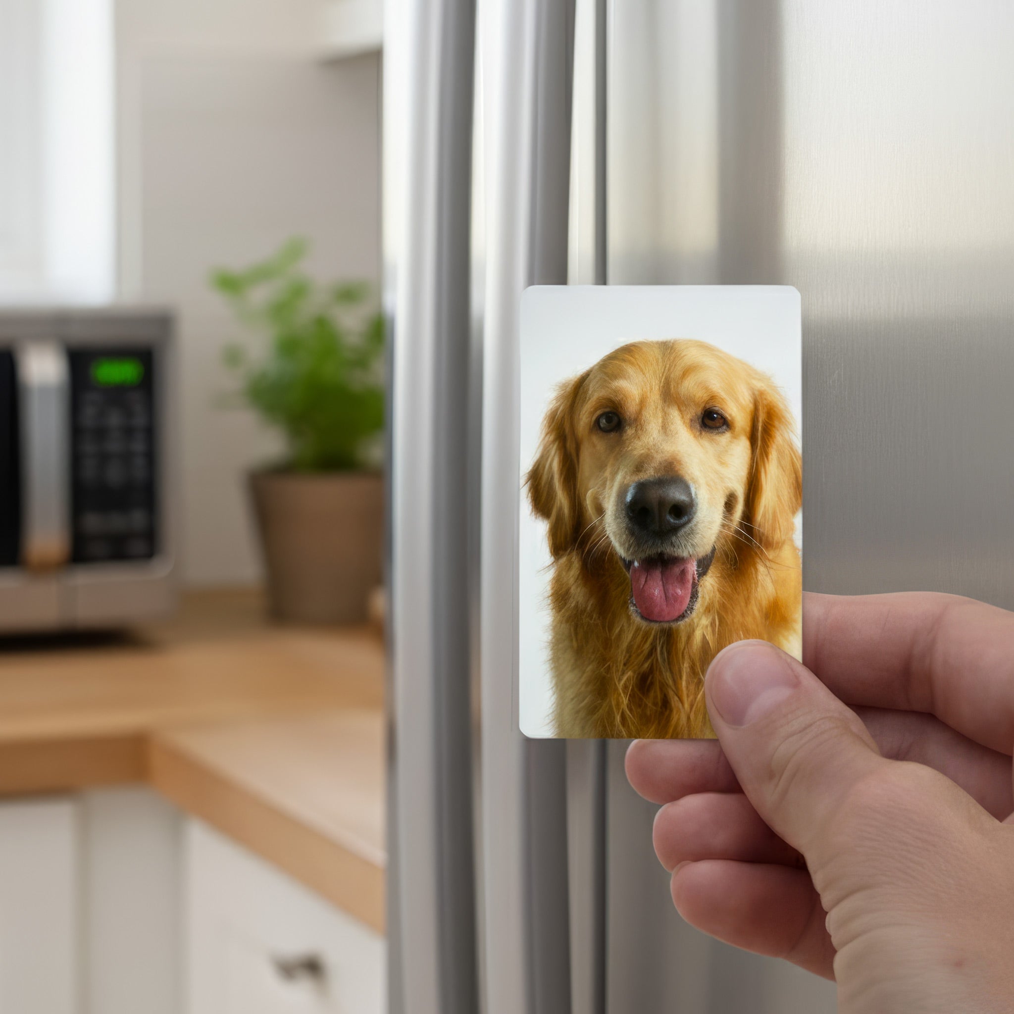 Hand holding a personalised photo fridge magnet with a pet portrait, displayed on a stainless steel refrigerator in a modern UK kitchen — custom photo magnet gift.