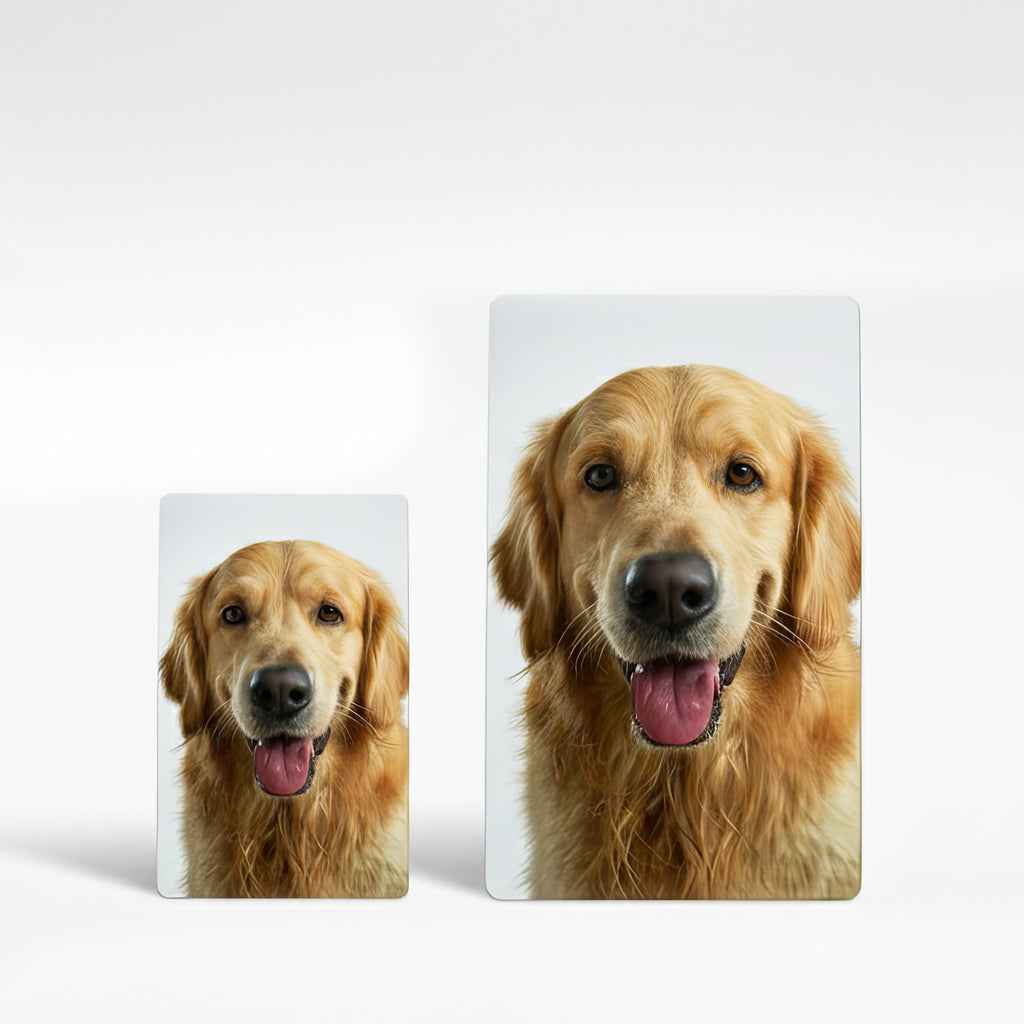Two personalised photo fridge magnets in different sizes featuring a pet portrait — custom aluminium picture magnets handmade in the UK, currently available in medium and large options.