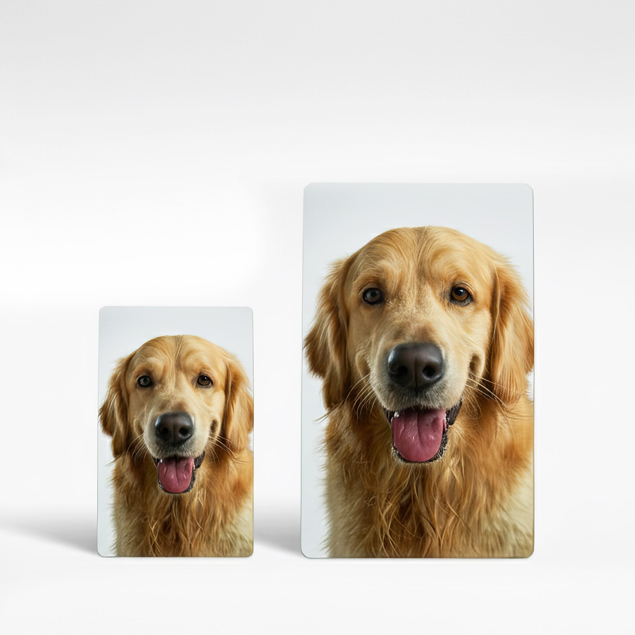 Two personalised photo fridge magnets in different sizes featuring a pet portrait — custom aluminium picture magnets handmade in the UK, currently available in medium and large options.