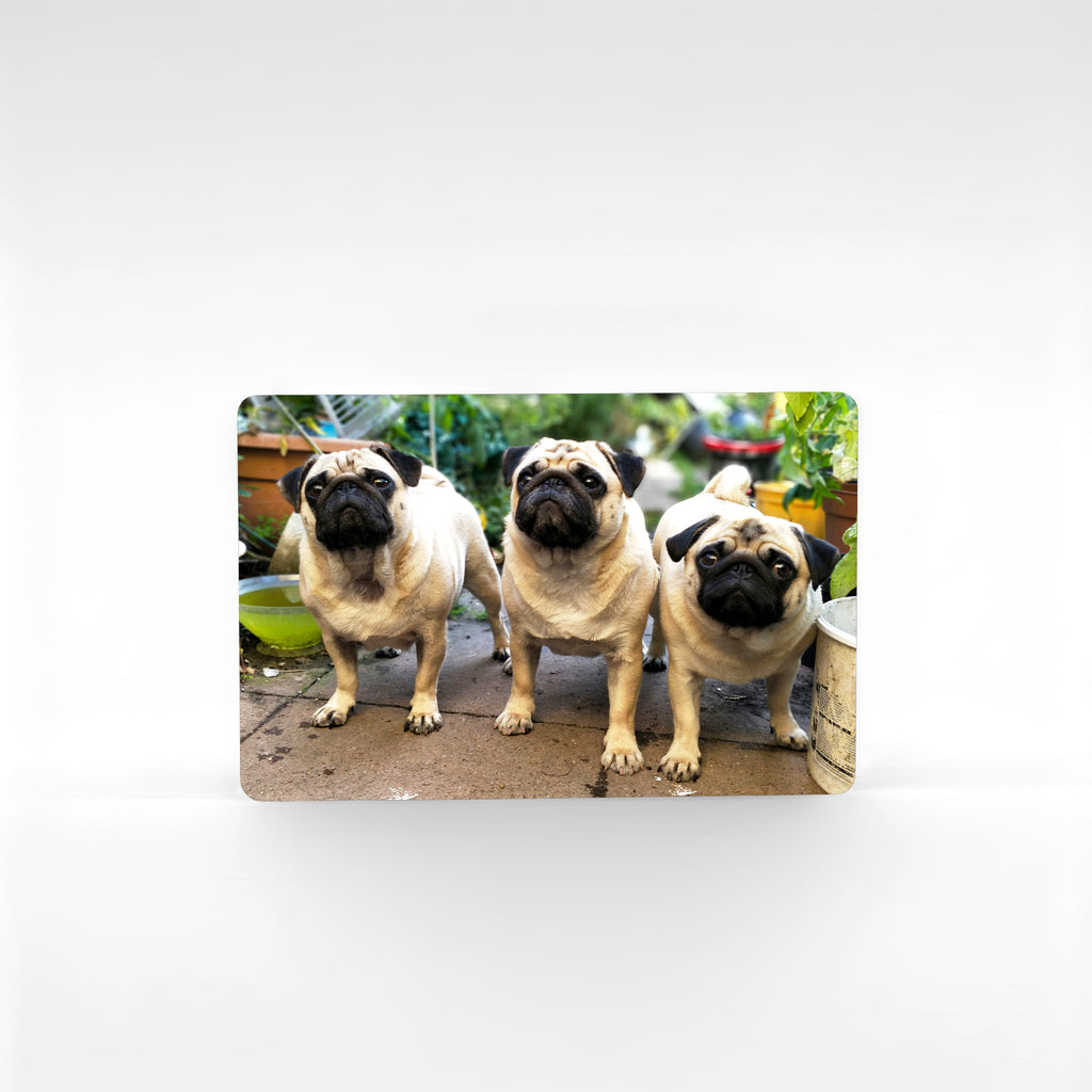 Personalised pug fridge magnet with three adorable pugs, unique pug owner gift and collectible pug merchandise UK