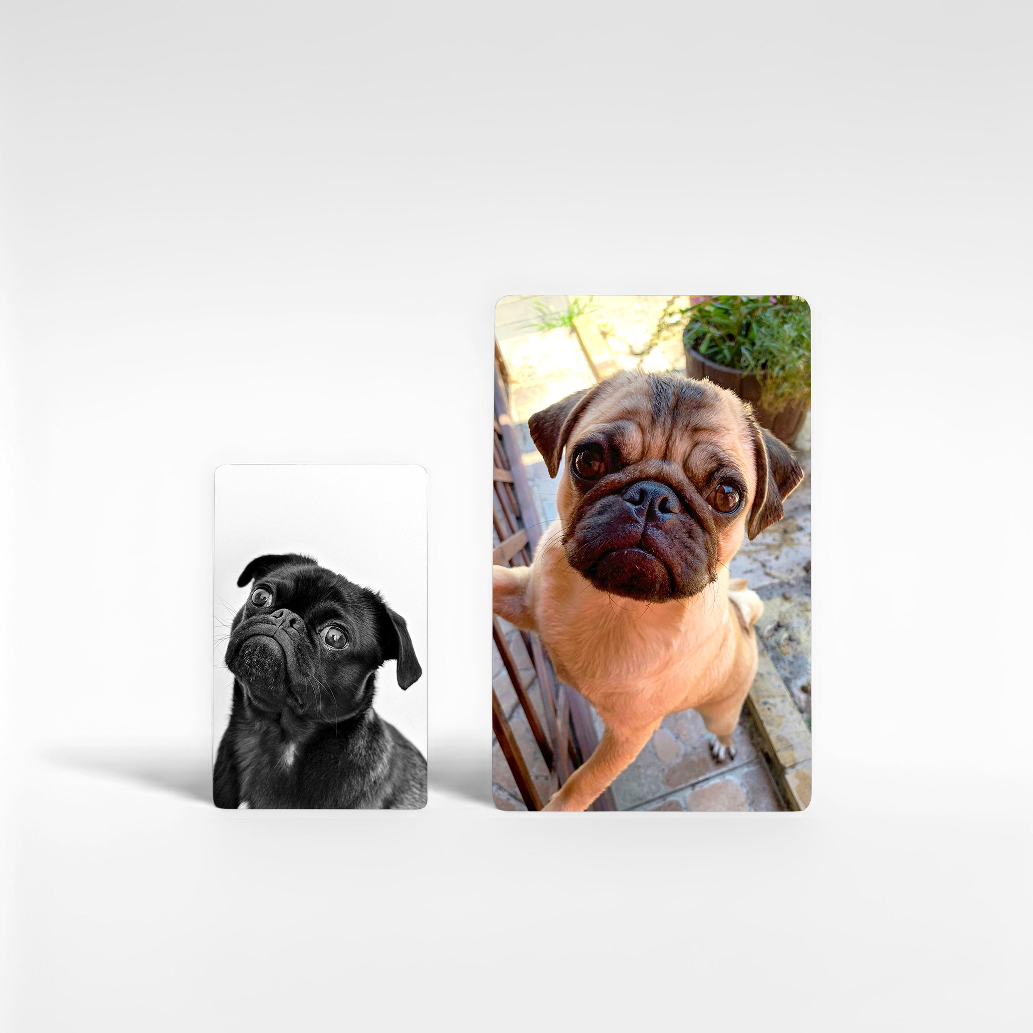 Two personalised pug fridge magnets in different sizes showing black and fawn pugs, ideal custom pug gifts UK