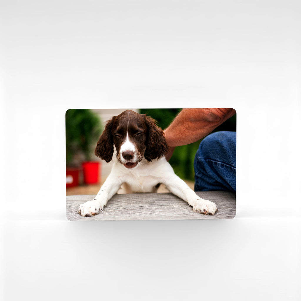 Custom Springer Spaniel photo magnet in landscape format, high-quality personalised spaniel gift handcrafted in the UK