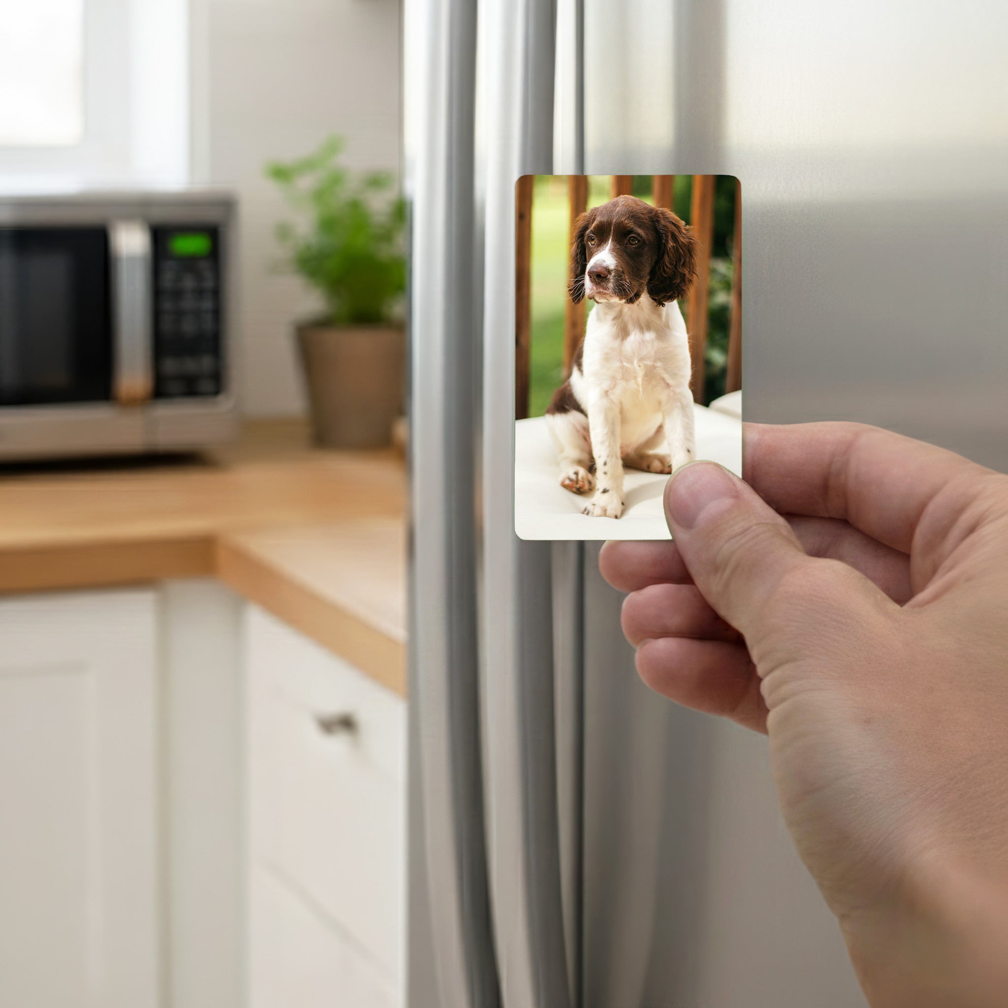 Hand holding personalised Springer Spaniel fridge magnet on stainless steel fridge, perfect springer spaniel owner gift idea