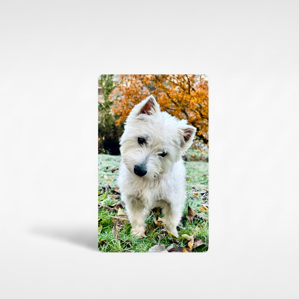 Personalised Westie fridge magnet featuring custom photo of West Highland Terrier in autumn leaves, vibrant high-quality aluminium photo magnet gift for Westie owners UK