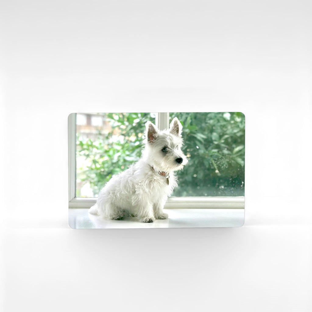 Customised landscape Westie fridge magnet showing West Highland Terrier sitting by window, personalised photo magnet keepsake handmade in Kent for Westie lovers