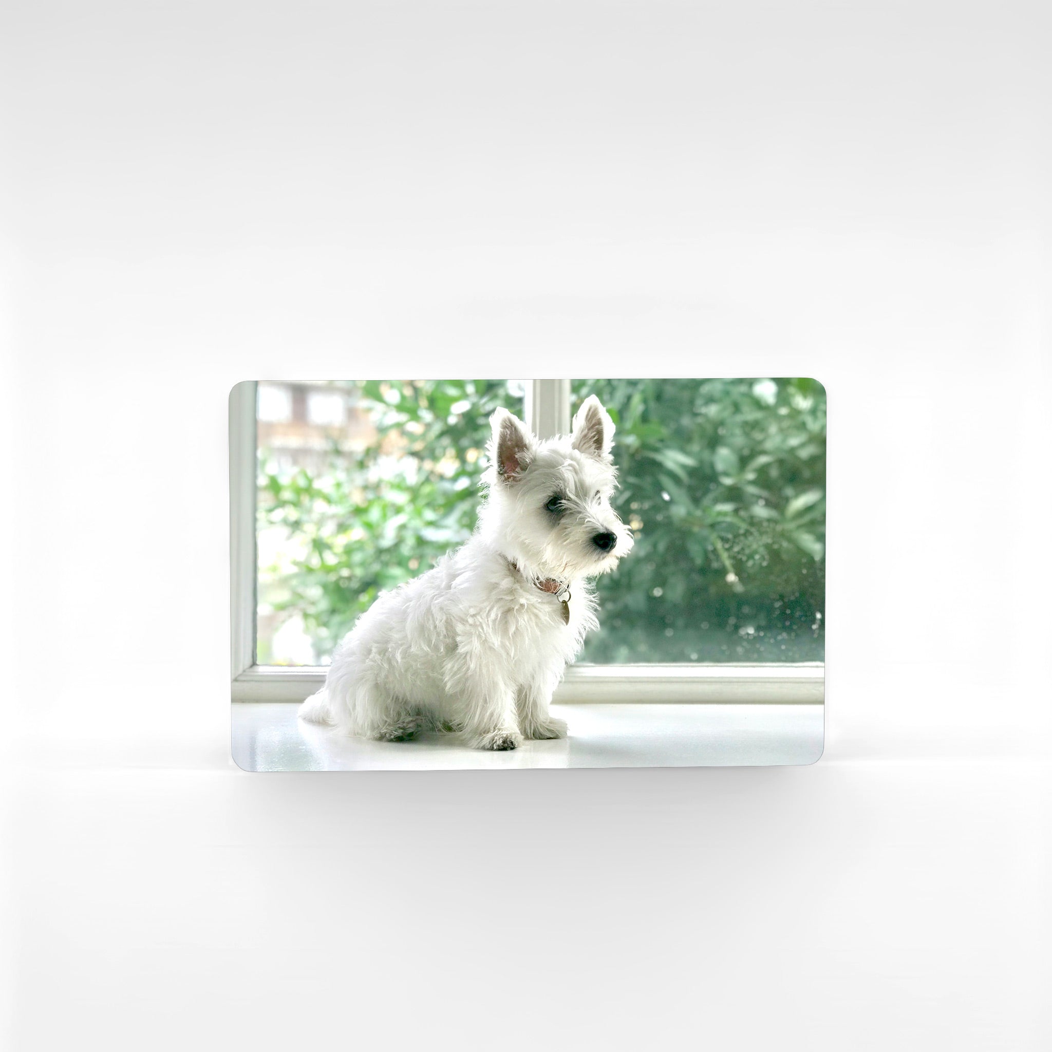 Customised landscape Westie fridge magnet showing West Highland Terrier sitting by window, personalised photo magnet keepsake handmade in Kent for Westie lovers