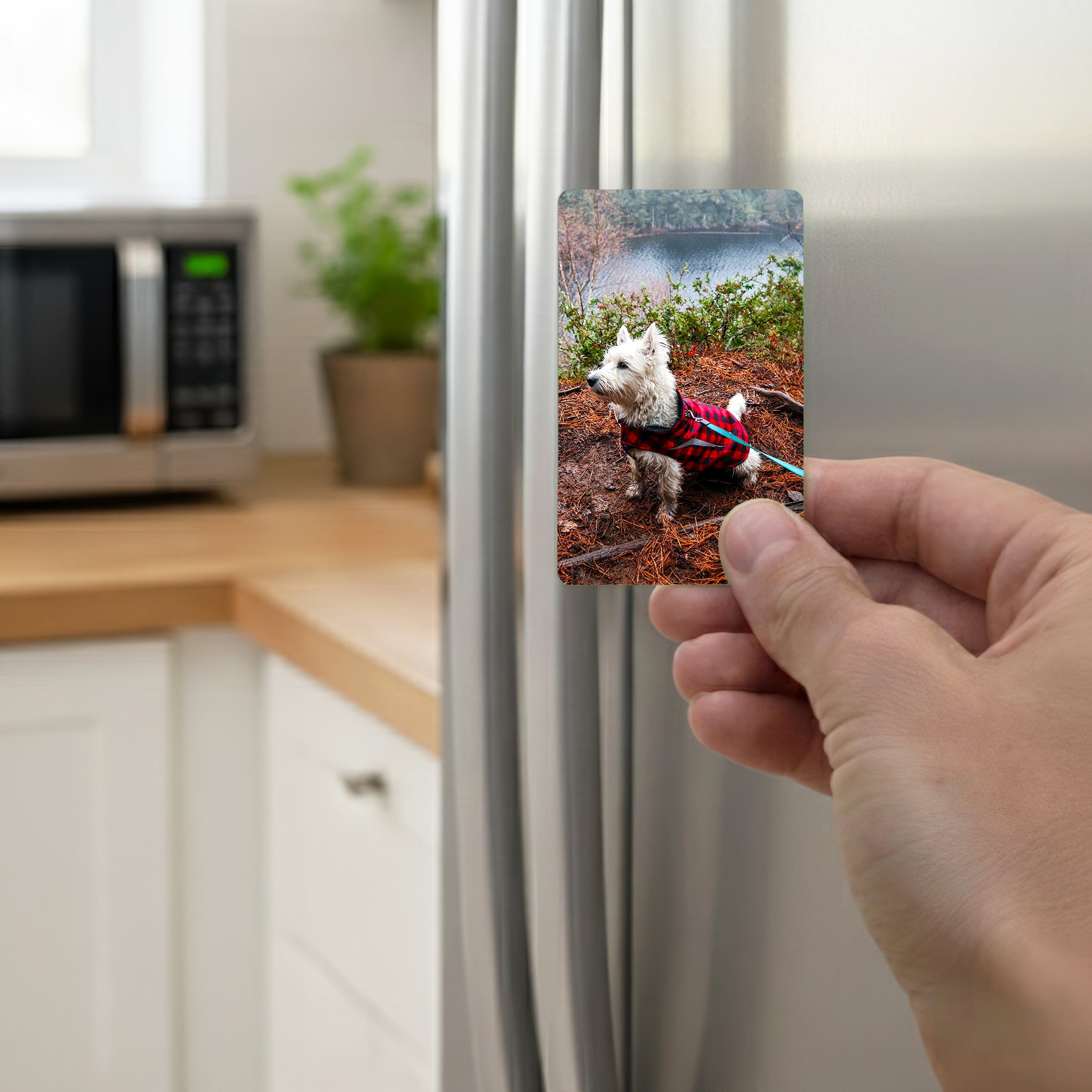 Hand holding personalised Westie fridge magnet on stainless steel refrigerator, custom West Highland Terrier gift ideal for Westie owners and dog lovers in the UK