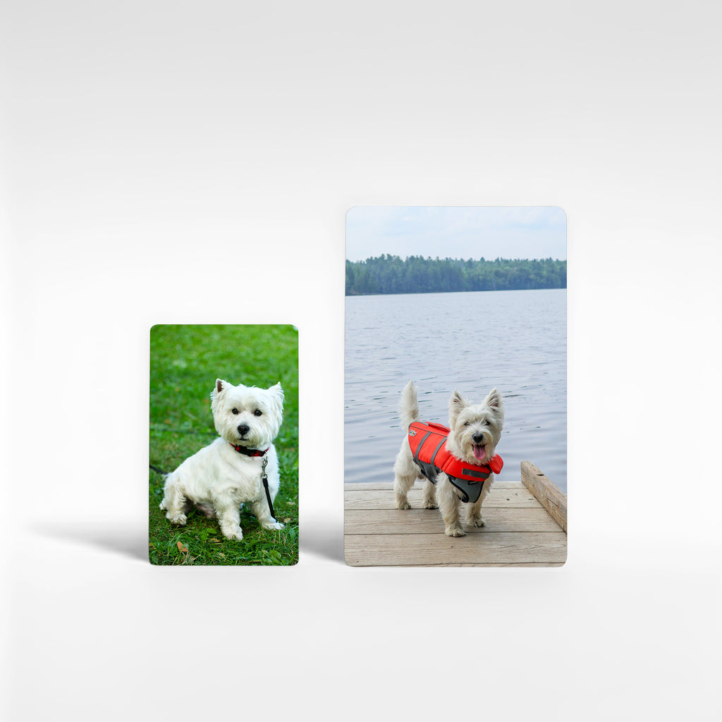 Two personalised Westie fridge magnets in size comparison, small credit-card and large photo options featuring West Highland Terriers, customisable Westie gifts handmade in the UK